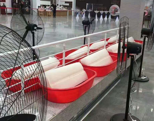 麻豆电影网在线观看冰块案例