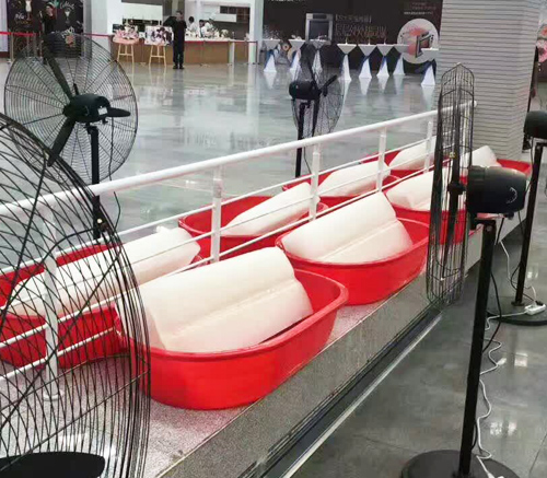 陕西麻豆电影网在线观看冰块