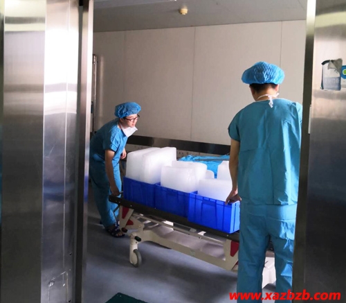 西安麻豆电影网在线观看冰块